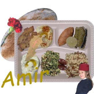 Amir