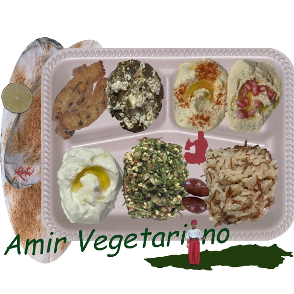 Amir Vegetariano