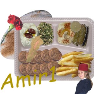 Amir1